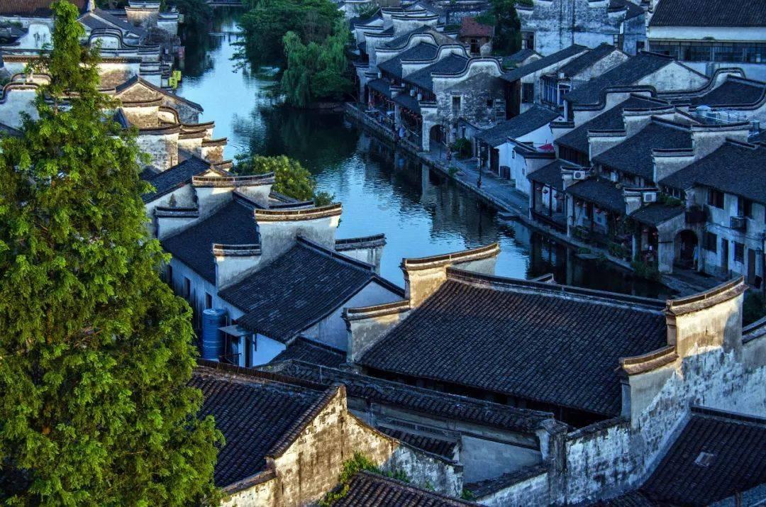 小红帽的冒险之旅